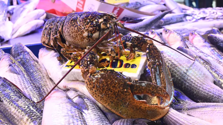 İskenderun'a özel lezzet: İnce ince dilimlenip tavada pişiriliyor 3