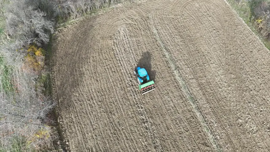 Halk arasında ''kabulca'' adıyla biliniyor: Şifa deposu besin toprakla buluşturuldu 