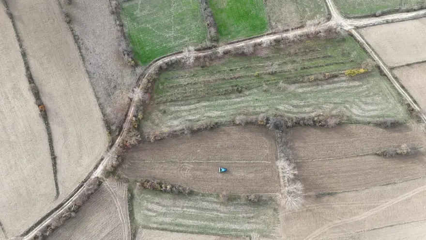 Halk arasında ''kabulca'' adıyla biliniyor: Şifa deposu besin toprakla buluşturuldu 2