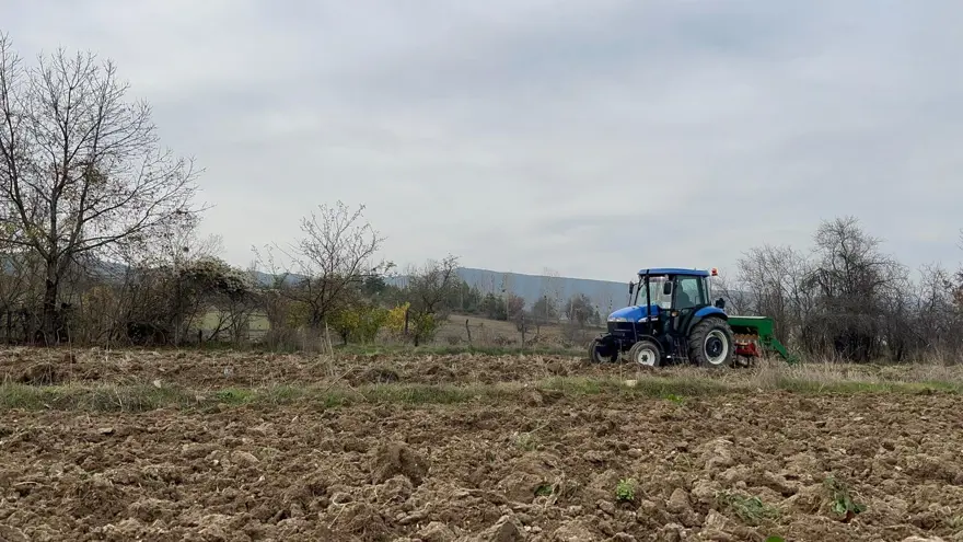 Halk arasında ''kabulca'' adıyla biliniyor: Şifa deposu besin toprakla buluşturuldu 3