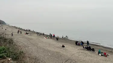 Düzce'de balık avcıları sahillere koştu