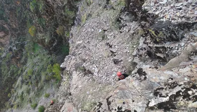 Kahramanmaraş'ta mahsur kalan keçiler kurtarıldı