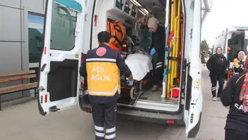 Konya'da danasının yaraladığı besici hastanelik oldu 