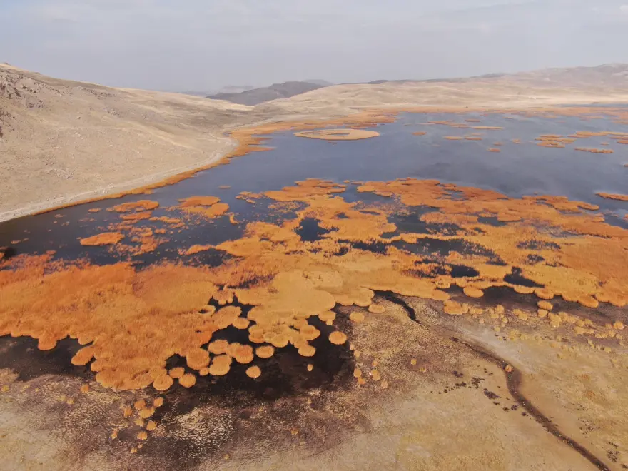 Van'da doğa ve sonbahar buluşması 