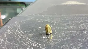 Artvin'de maganda kurşunu park halindeki araca ve iş yerine isabet etti 