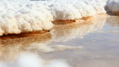 Tuz Gölü'nde sular çekilince ortaya çıktı: Uzmanlar endişeli