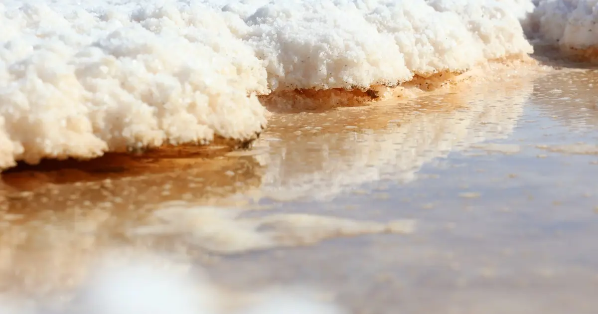 Tuz Gölü'nde sular çekilince ortaya çıktı: Uzmanlar endişeli