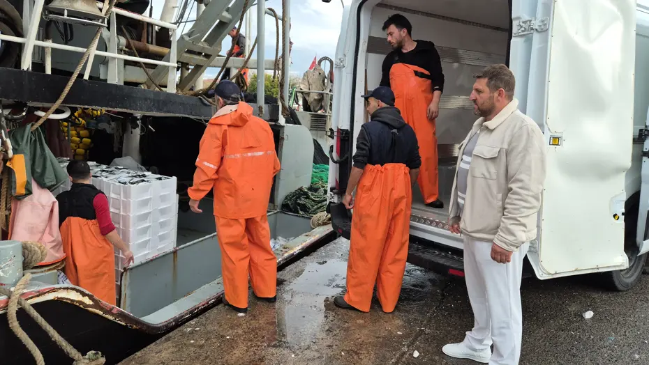 Kasa kasa yakaladılar: Limanda hareketlilik, yüzlercesi ağlara takıldı