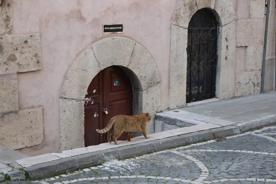 "KAPIYI KİLİTLEMEK ZORUNDA KALDIM" 4