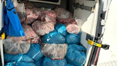 Tekirdağ'da 2 ton kaçak sakatat ele geçirildi