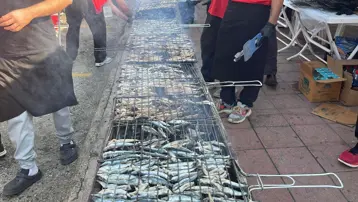 7 ton hamsi bedava dağıtılacak