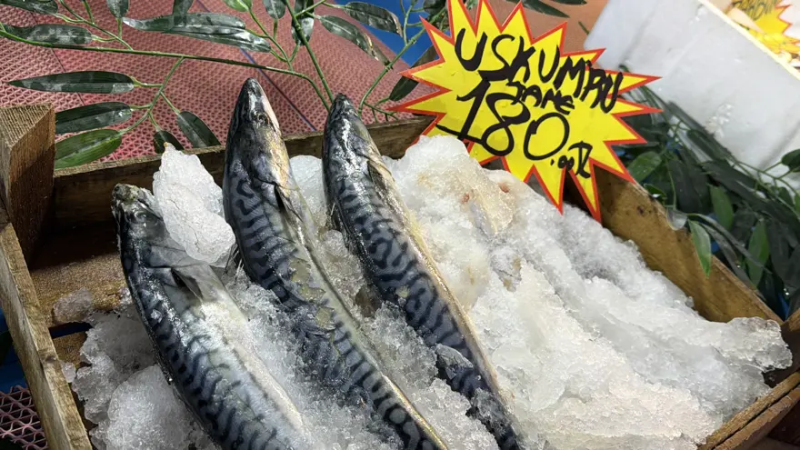 Palamut Gürcistan'a kaçtı, tezgahlar ona kaldı! Bolluk var, yoğun ilgi görüyor 1