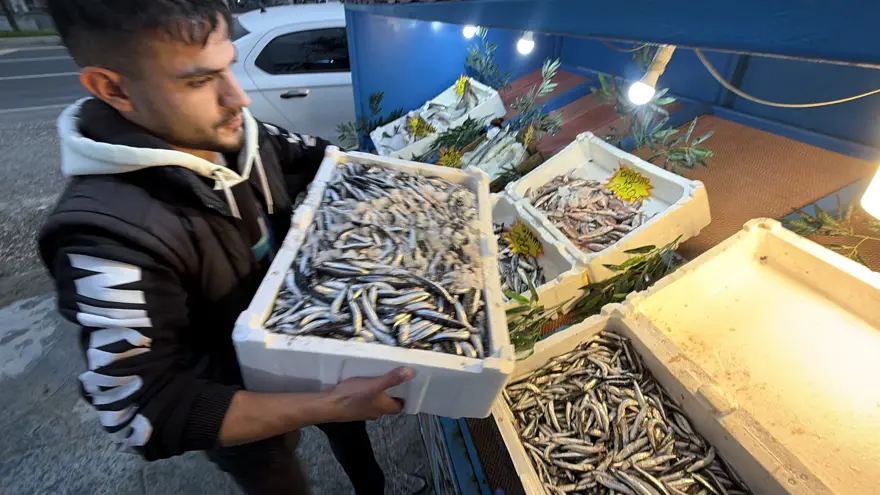 Palamut Gürcistan'a kaçtı, tezgahlar ona kaldı! Bolluk var, yoğun ilgi görüyor 4