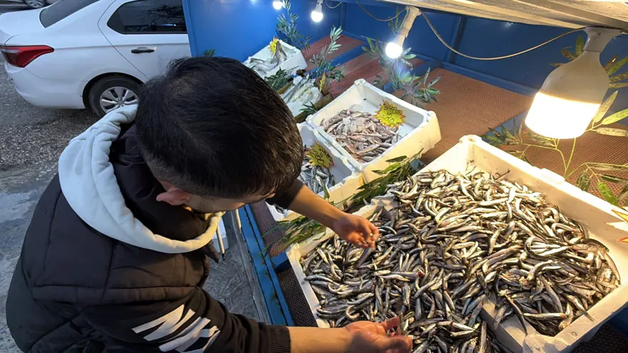 Palamut Gürcistan'a kaçtı, tezgahlar ona kaldı! Bolluk var, yoğun ilgi görüyor 2