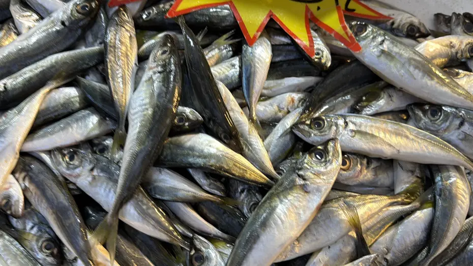 Palamut Gürcistan'a kaçtı, tezgahlar ona kaldı! Bolluk var, yoğun ilgi görüyor