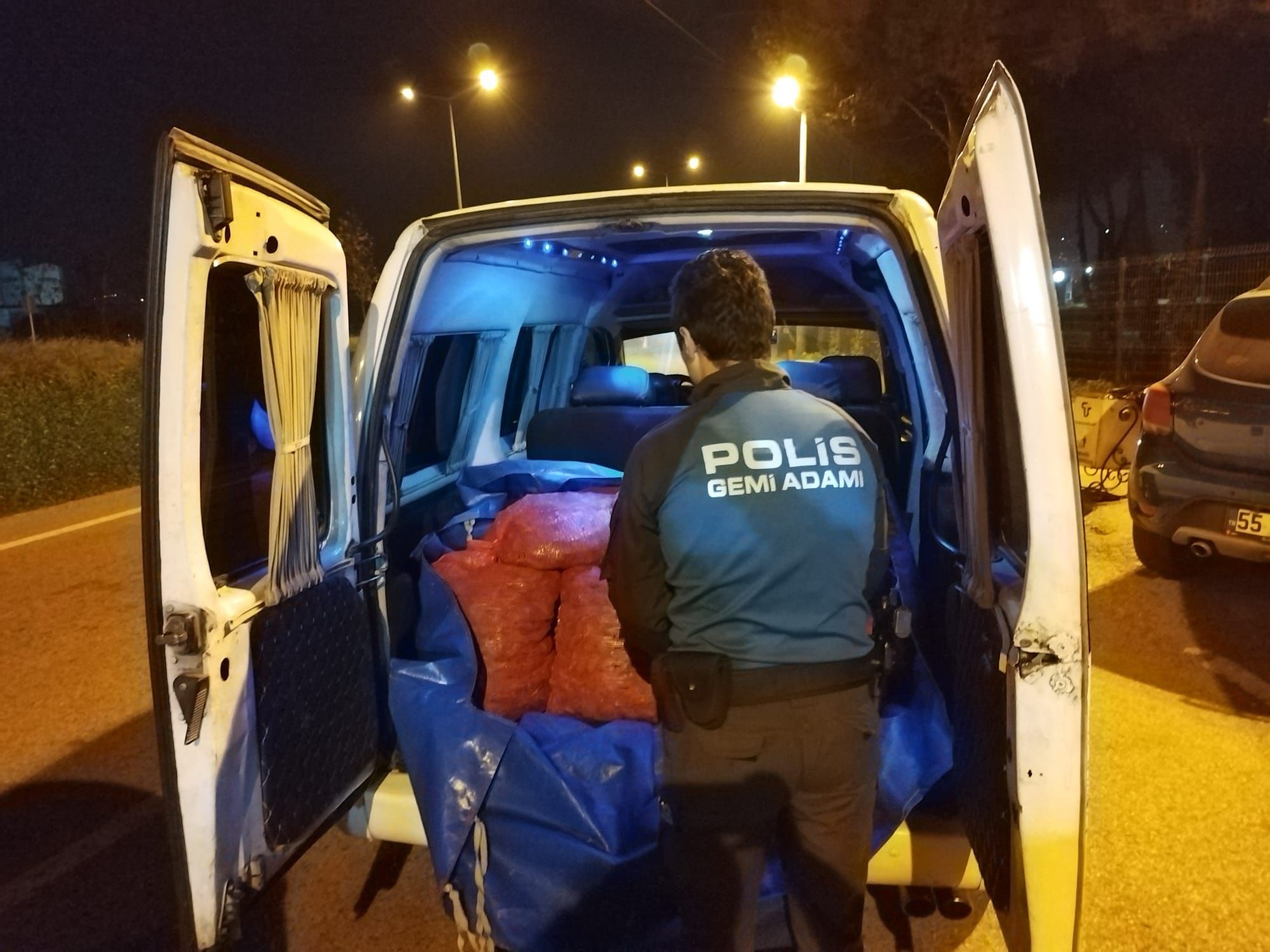 Samsun'da kaçak midye bulundu