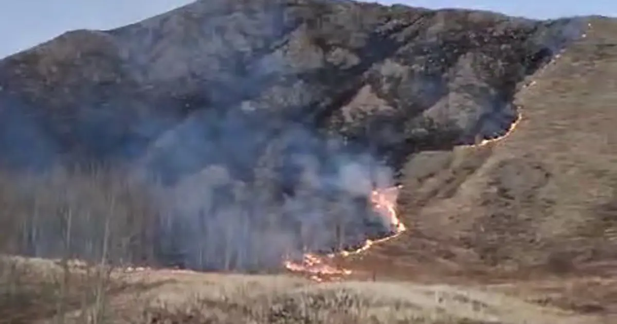 Erzurum'da korkutan örtü yangını