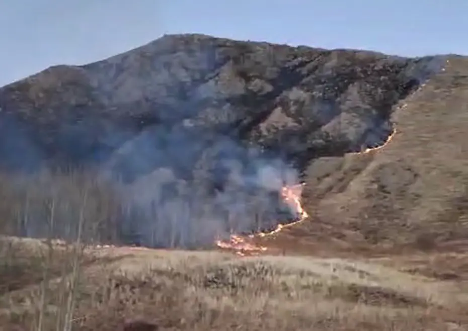 Erzurum'da korkutan örtü yangını