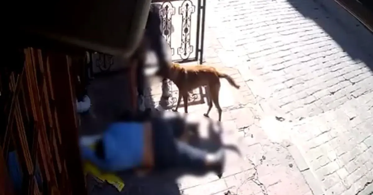 Sara nöbeti geçiren adamın kıyafetine kadar çaldılar