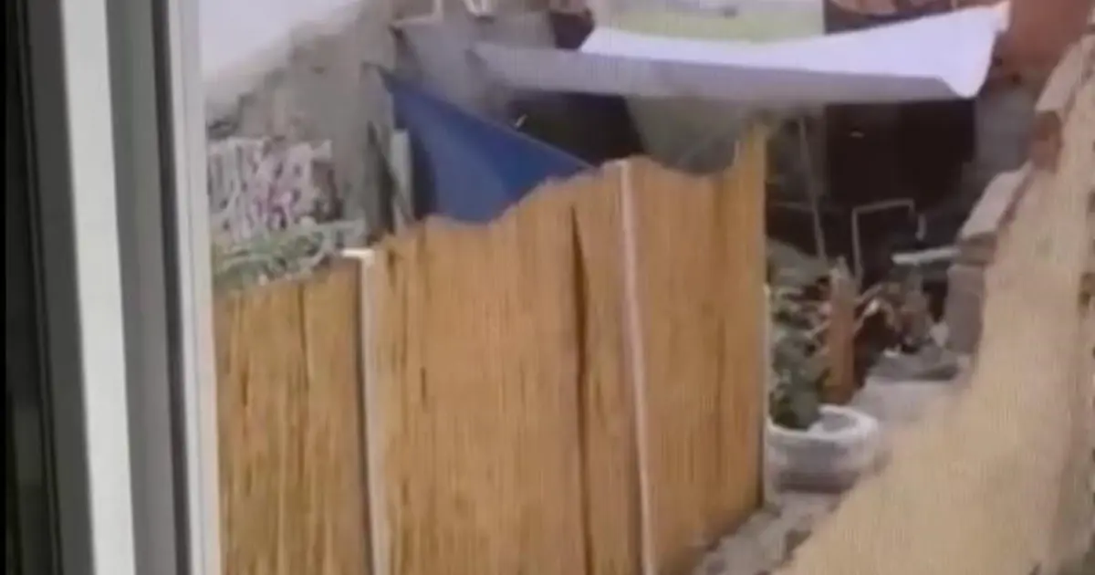 Eskişehir'de köpeğe eziyet eden şahıs yakalandı