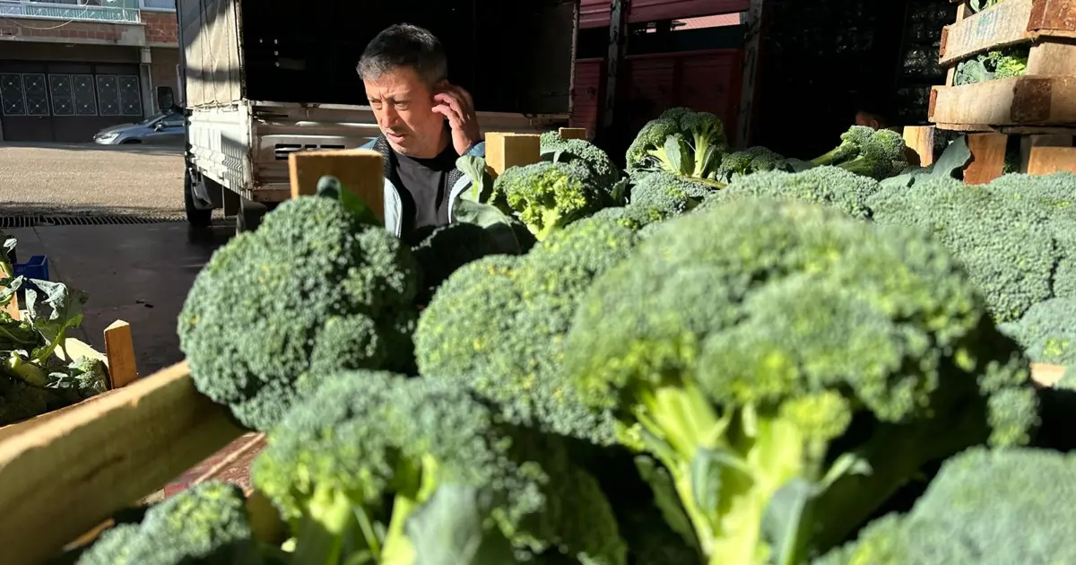Tarlada 10, pazarda 70 lira;  50 kilometre ötede fiyat değişiyor