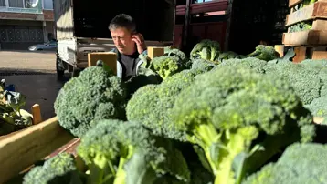 Tarlada 10, pazarda 70 lira; 50 kilometre ötede fiyat değişiyor