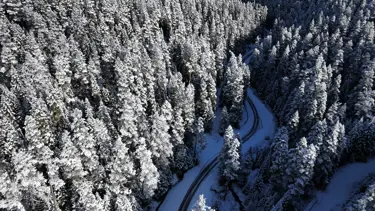 Bolu'nun yüksekleri beyaza büründü