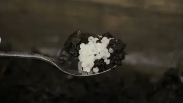 Pandemi döneminde üretime başladı, değeri yeterince bilinmiyor. Trabzon&#x27;dan dünyaya satılıyor