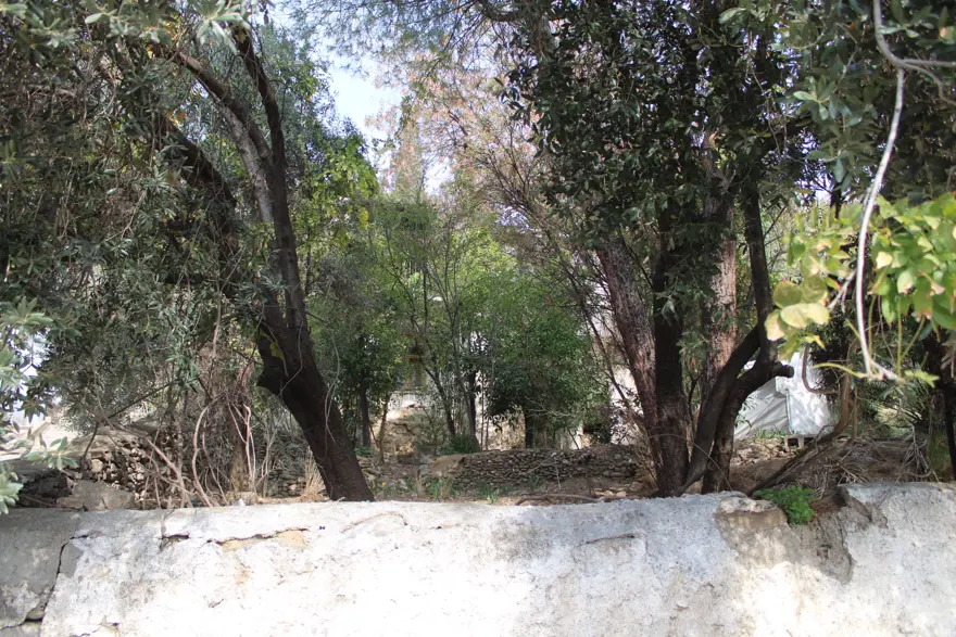 Kendi ailesini araştırırken önemli bir keşif yaptı. 105 yıl sonra ortaya çıkan gerçek 2 Kendi ailesini araştırırken önemli bir keşif yaptı. 105 yıl sonra ortaya çıkan gerçek 2