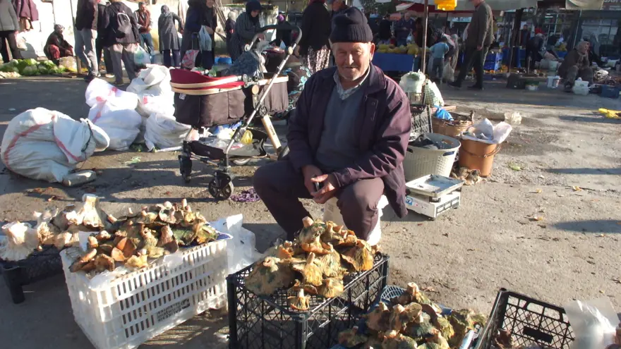 Yağmur yağınca dağlarda fışkırdı; Geçim kaynağı oldu, toplayıp pazara getiriyorlar 4