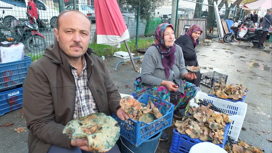 Yağmur yağınca dağlarda fışkırdı; Geçim kaynağı oldu, toplayıp pazara getiriyorlar