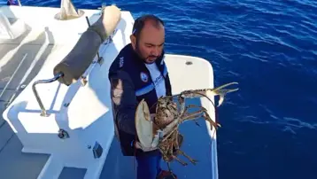 Çanakkale'de 525 kilo balığa el konuldu