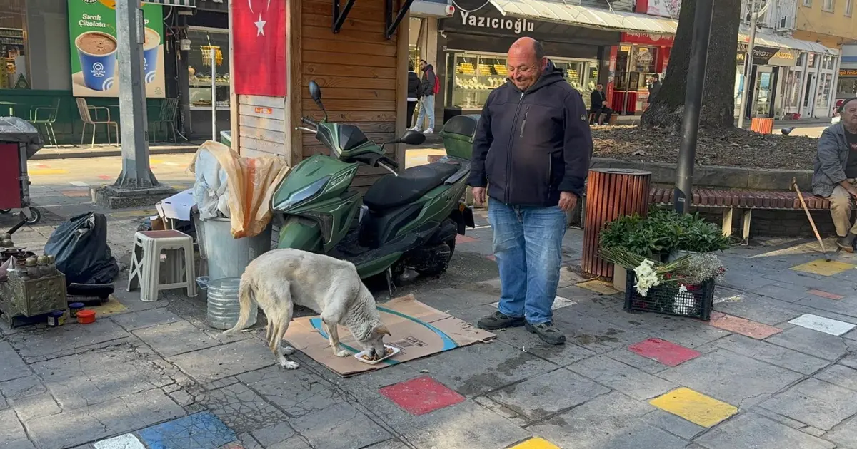 Engelli köpeğine 10 yıldır bebek gibi bakıyor. Ayakkabı boyacısı Hüseyin kazancının yarısını ona harcıyor