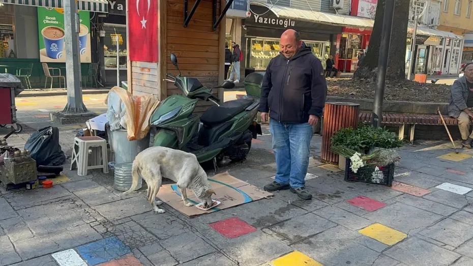 Engelli köpeğine 10 yıldır bebek gibi bakıyor. Ayakkabı boyacısı Hüseyin kazancının yarısını ona harcıyor
