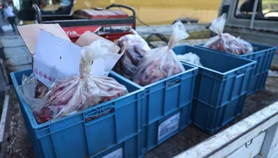 Otobüs bagajından kilolarca kaçak et çıktı