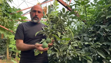 Kilosu 110 liraya satılıyor, yurt dışından yoğun talep var