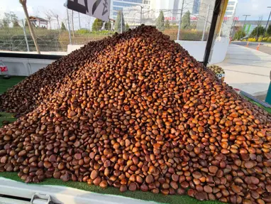 Havalar soğuyunca tezgahların gözdesi oldu, şifalı besinin kilosu 175 lira