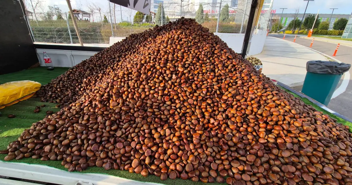 Havalar soğuyunca tezgahların gözdesi oldu, şifalı besinin kilosu 175 lira