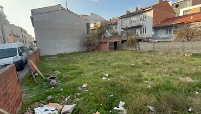 Amasya ve Eskişehir&#x27;de ölü köpek ve kediler bulundu