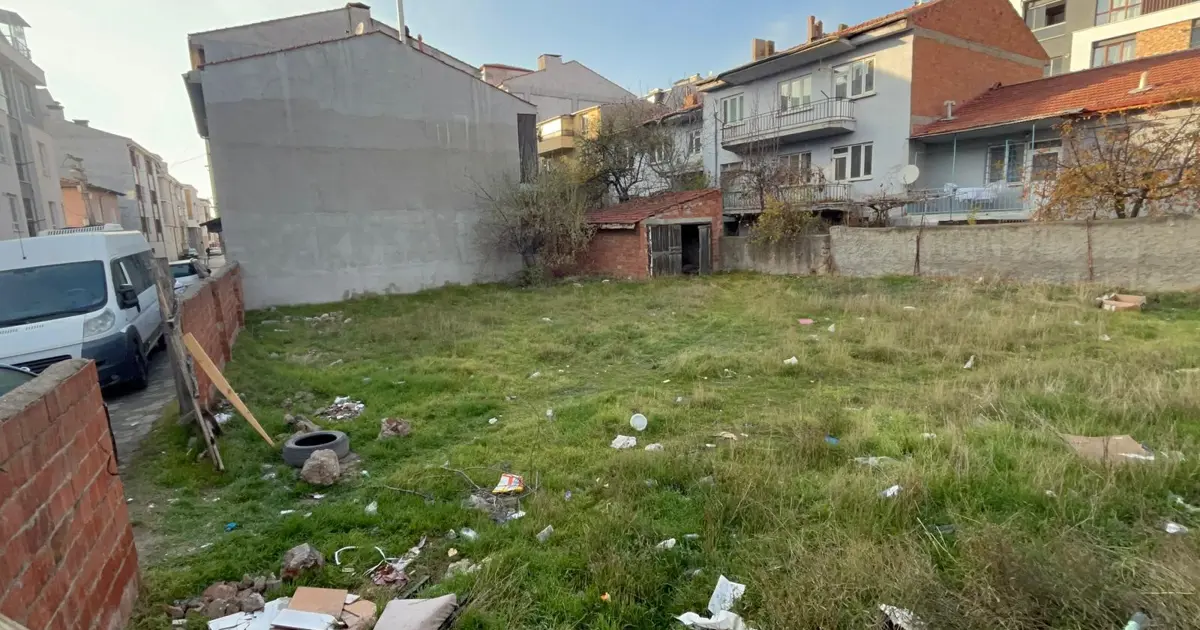 Amasya ve Eskişehir'de ölü köpek ve kediler bulundu