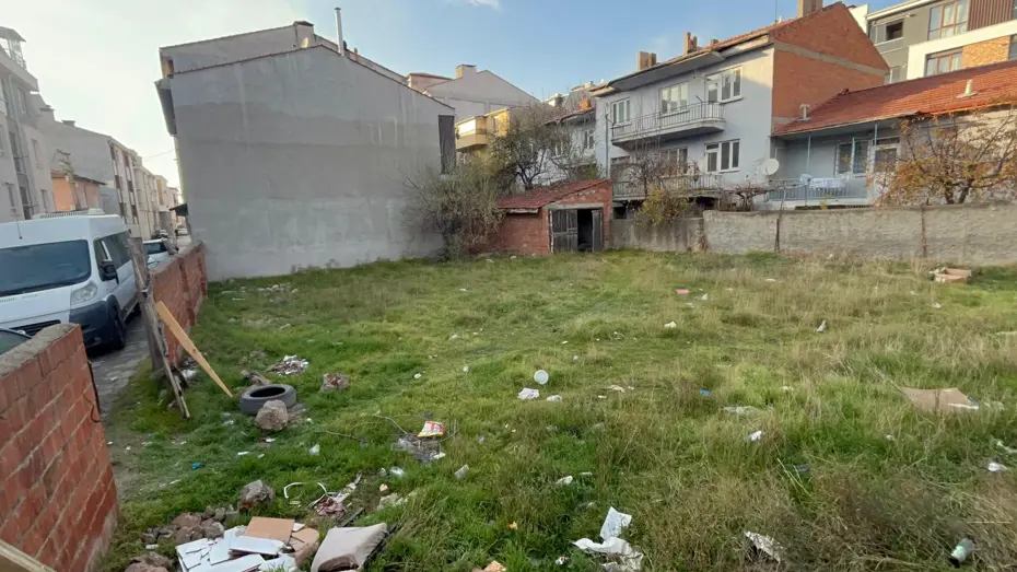 Amasya ve Eskişehir'de ölü köpek ve kediler bulundu