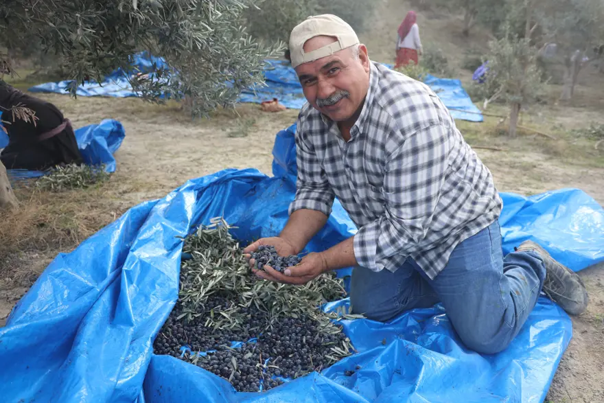 HASAT 2 TONDAN 500 KİLOYA DÜŞTÜ 1