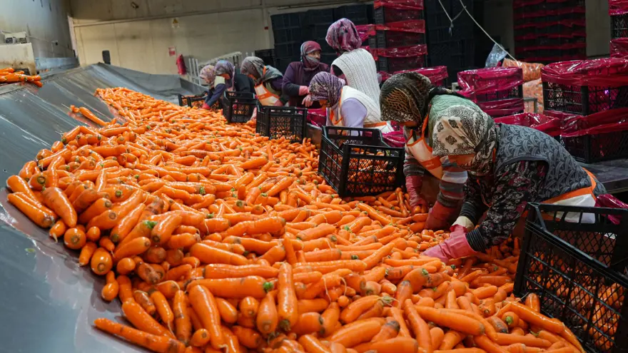 "BU HAVUÇLAR ÇOK FARKLI" 2