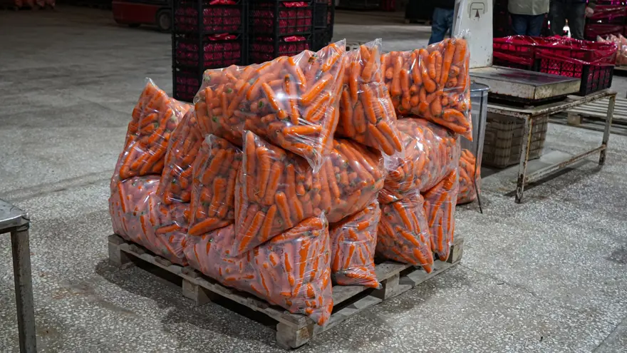 "GÜNLÜK 60-70 TON HAVUÇ ÜRETİMİ OLUR" 3