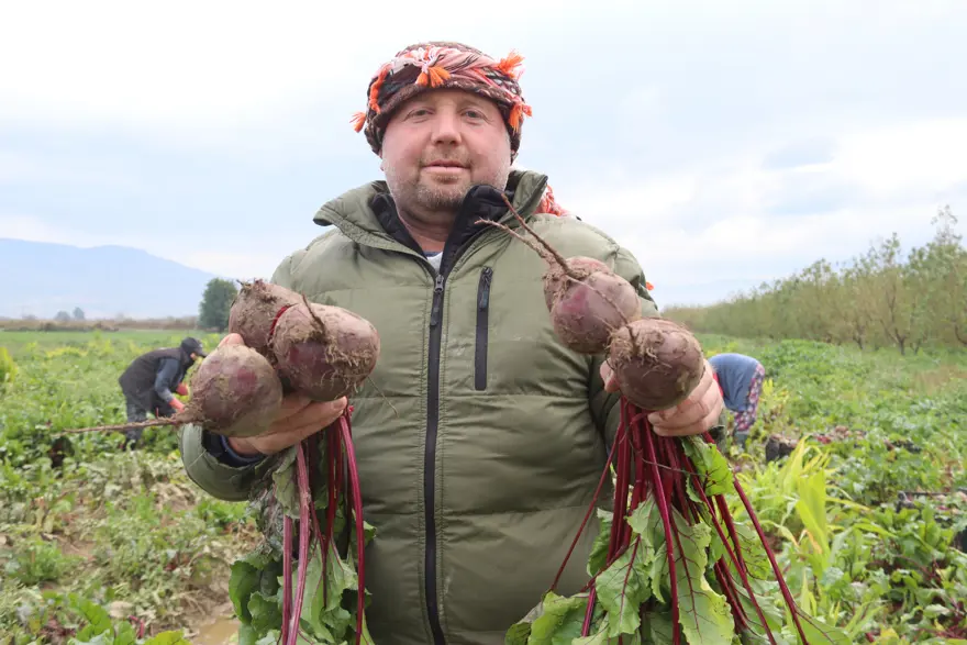 Halk arasında 'kırmızı elmas' adıyla biliniyor, sağlığa pek çok faydası var. Pazarda 40 liraya satılıyor  4