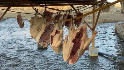 Kilosu 2 bin liradan satılıyor, kış sofralarının vazgeçilmezi. En az 15 gün kurutuluyor