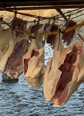 Kilosu 2 bin liradan satılıyor