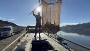 Denizi olmayan şehirde somon üretimi