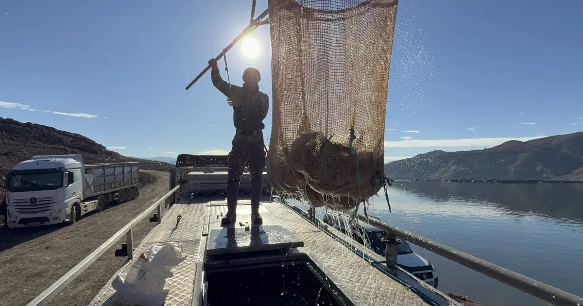 Denizi olmayan şehirde somon üretimi, yurt dışından yoğun talep var