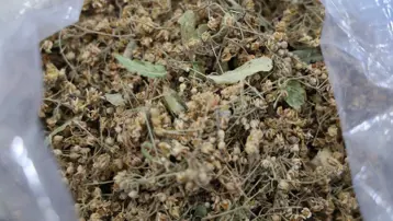 Kış soğuklarında bitki çaylarına ilgi yoğun. Hangi çaylar içilmeli?